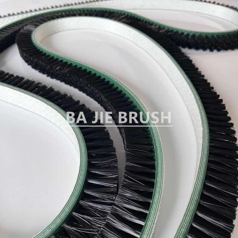 Flat Belt Brush