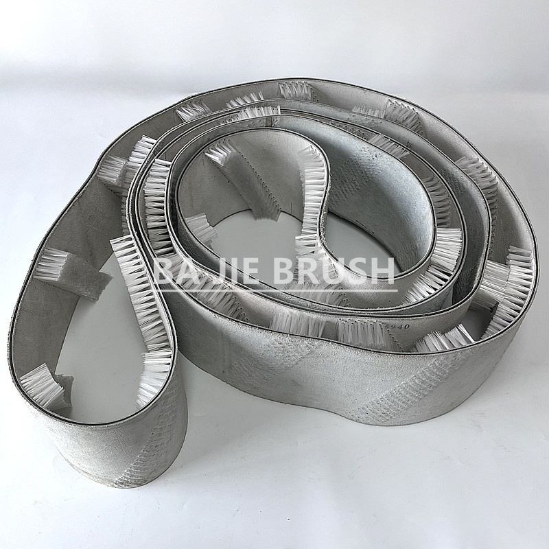 Wide Belt Brush