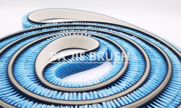 Blue Belt Brush