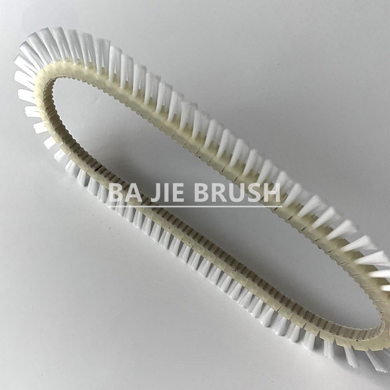 Continuous Toothed Belt Brush