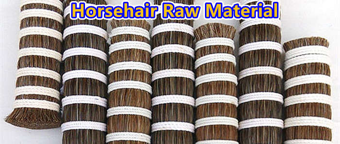 Horse Hair Bristles Horse Hair Bristles